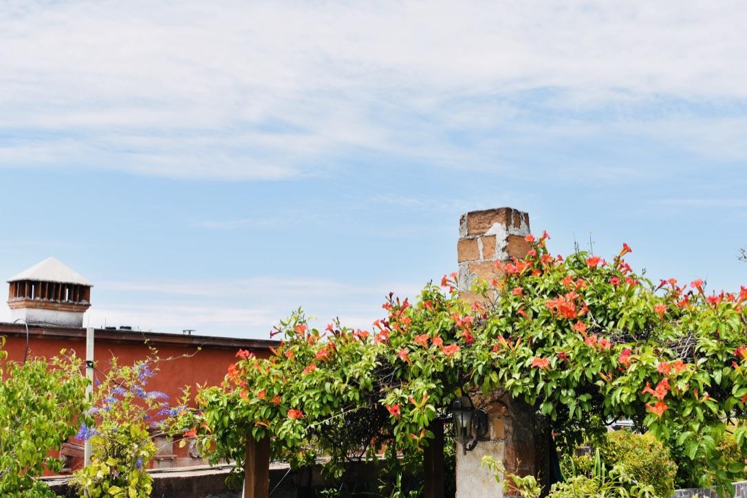 Apartamento Casa Relox 23 San Miguel de Allende Exterior foto